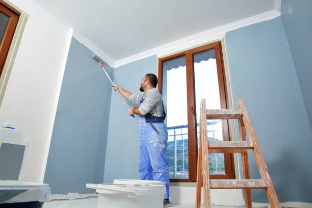 Best Repainting for Renovations  in Park Falls, WI